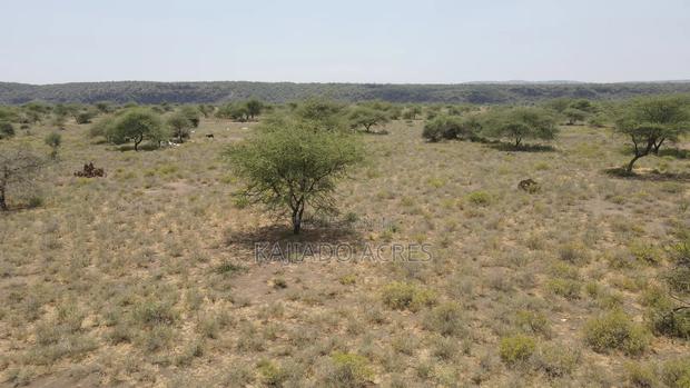 Prime 5 Acres Tinga at Per Acre - thumbnail 4