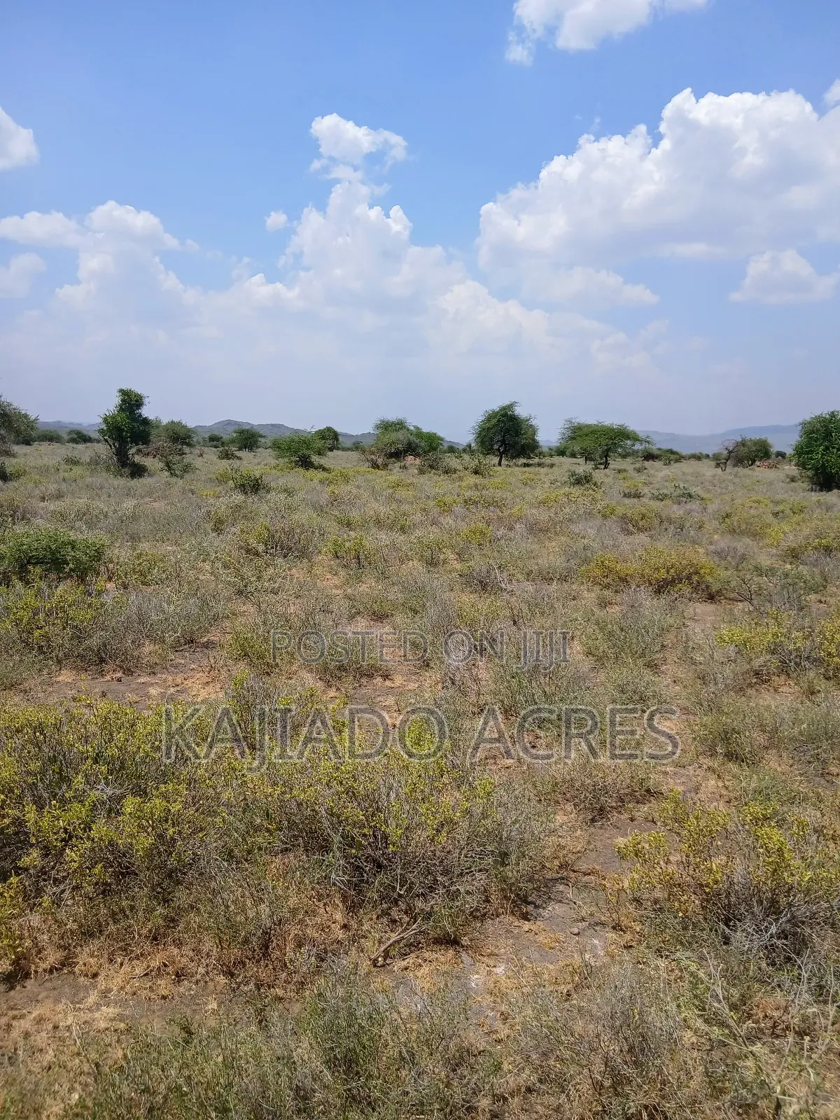 Prime 5 Acres Tinga at Per Acre