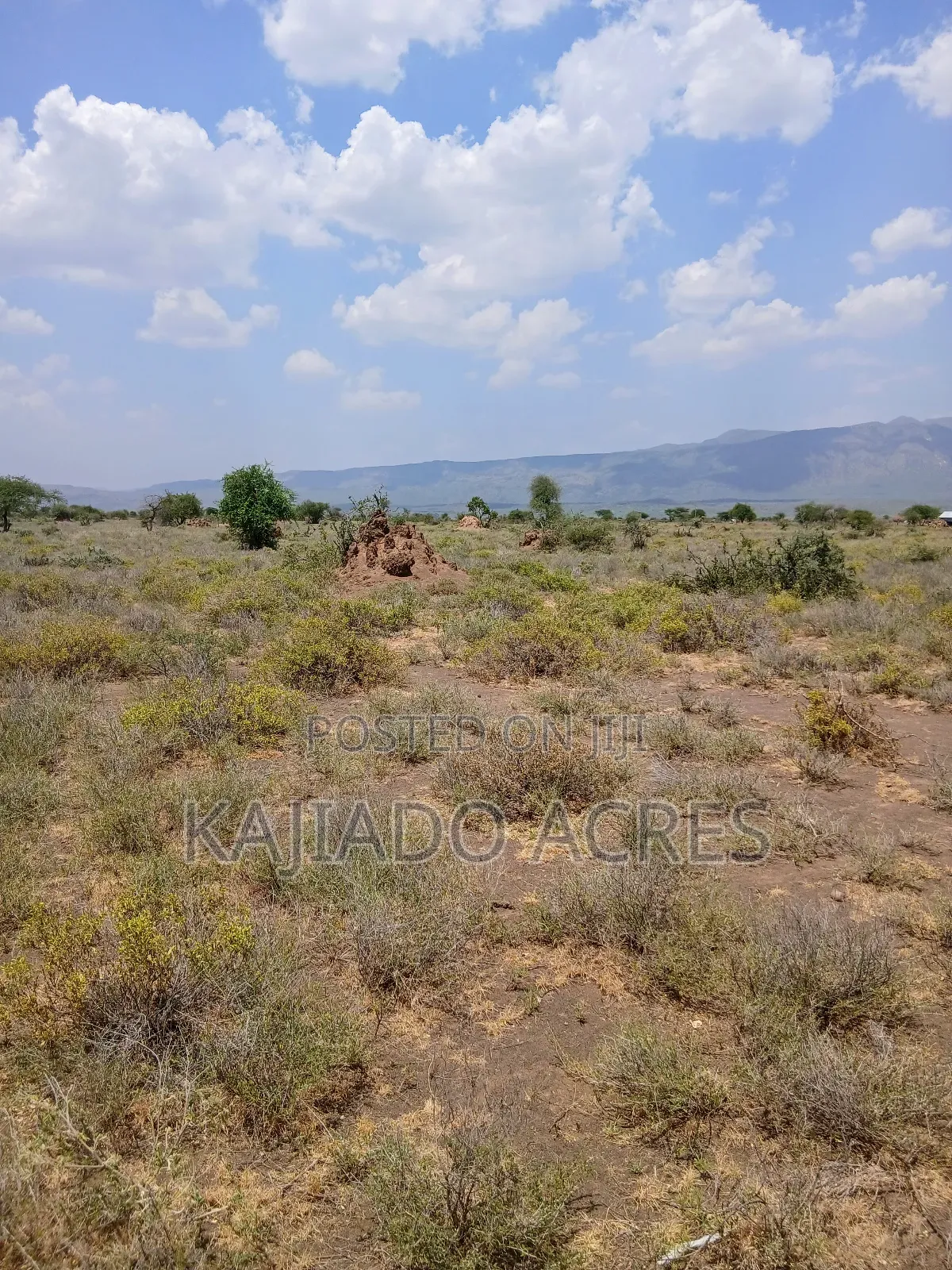 Prime 5 Acres Tinga at Per Acre