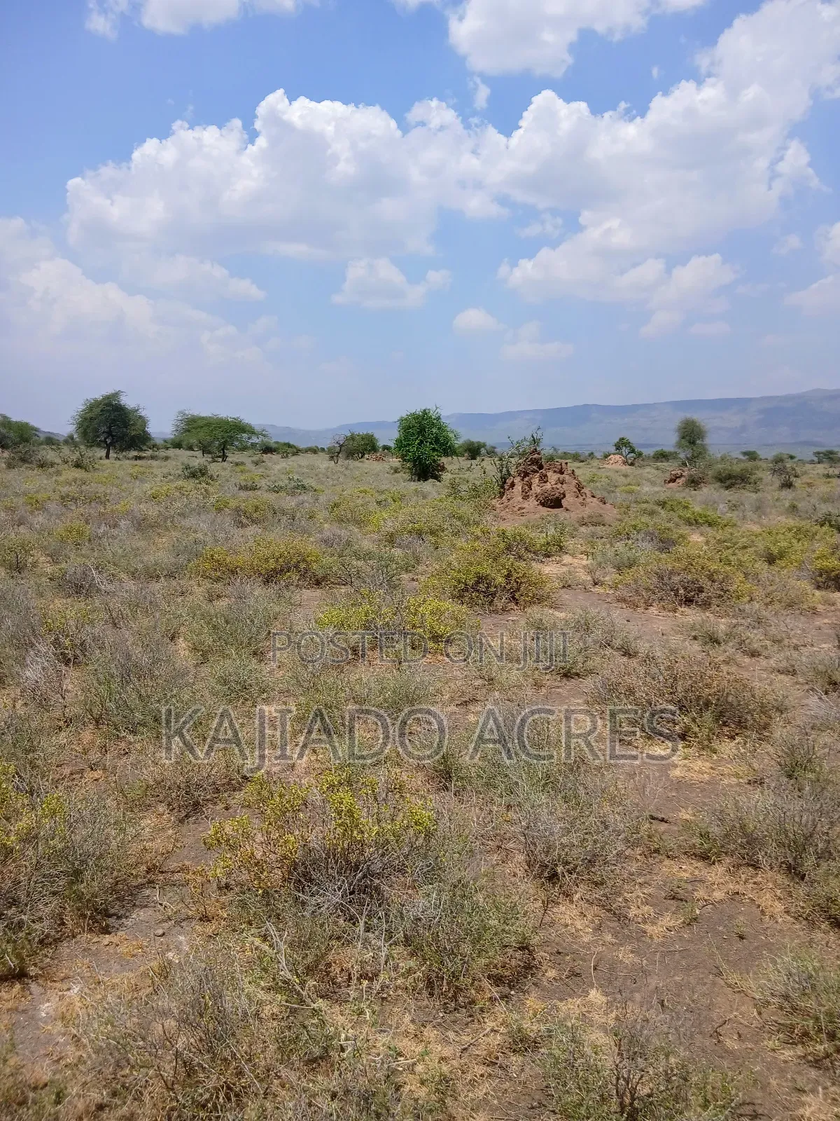 Prime 5 Acres Tinga at Per Acre