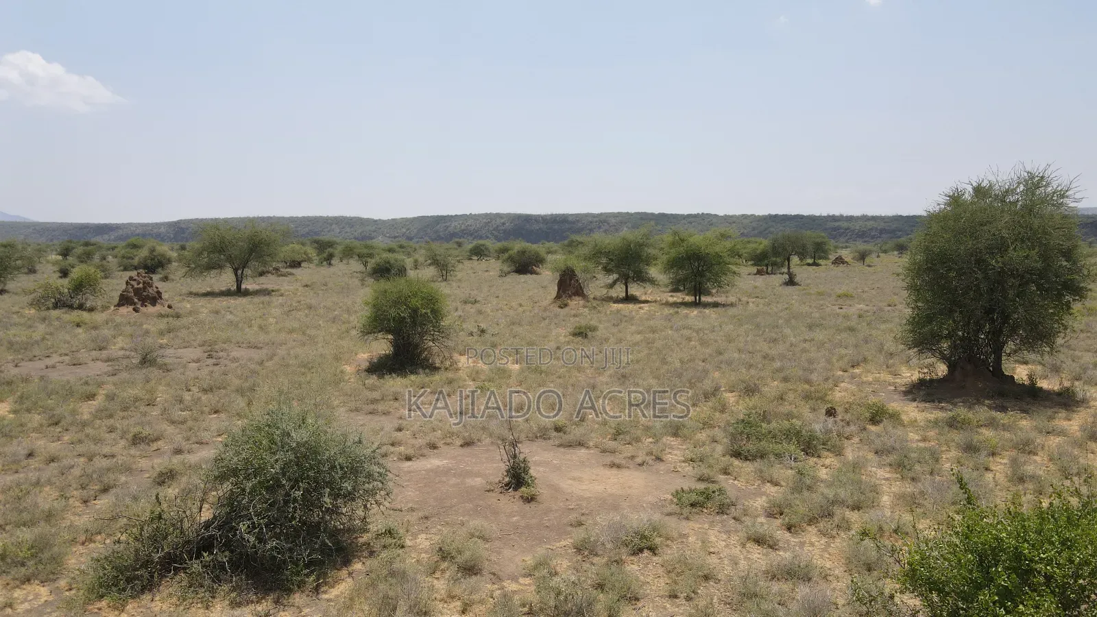 Prime 5 Acres Tinga at Per Acre