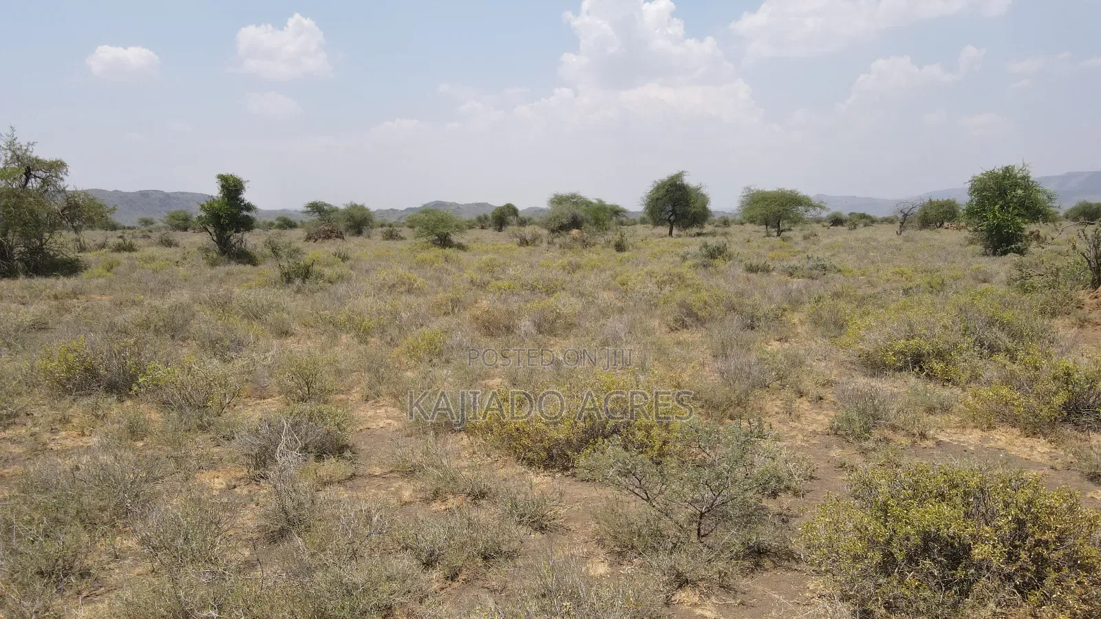 Prime 5 Acres Tinga at Per Acre