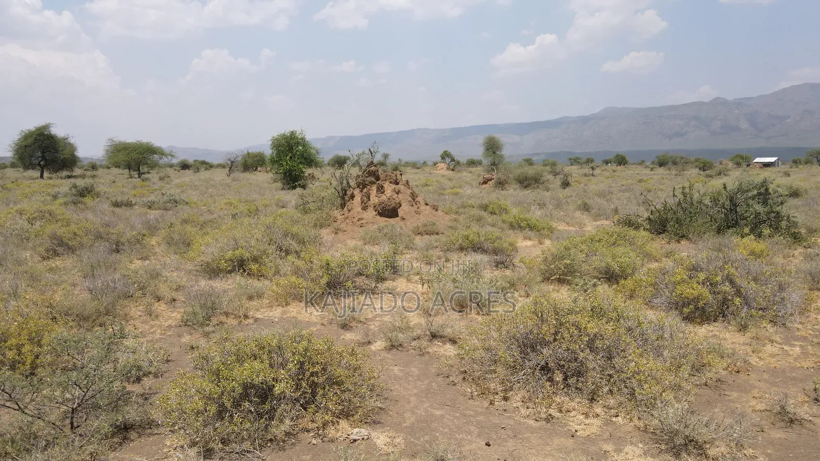 Prime 5 Acres Tinga at Per Acre