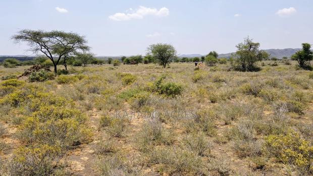 Prime 5 Acres Tinga at Per Acre - thumbnail 12