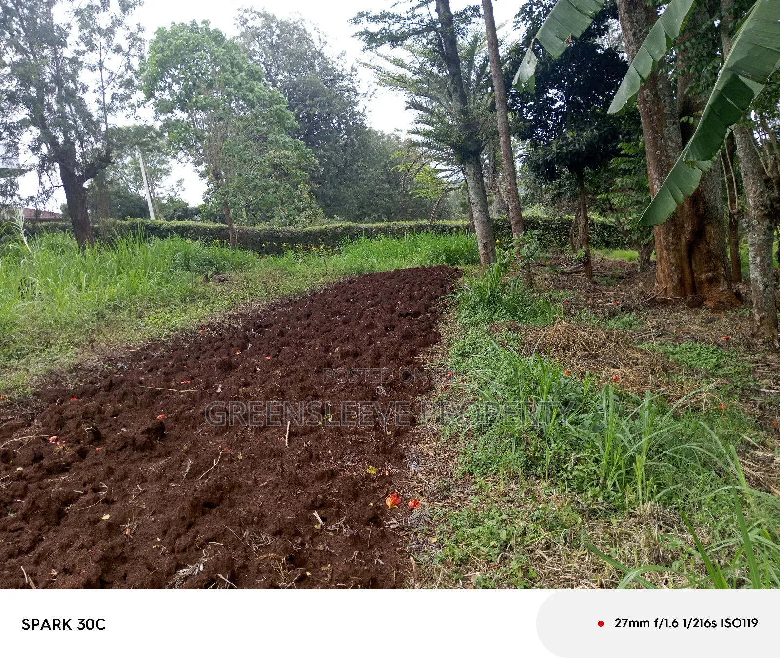 Land for Sale