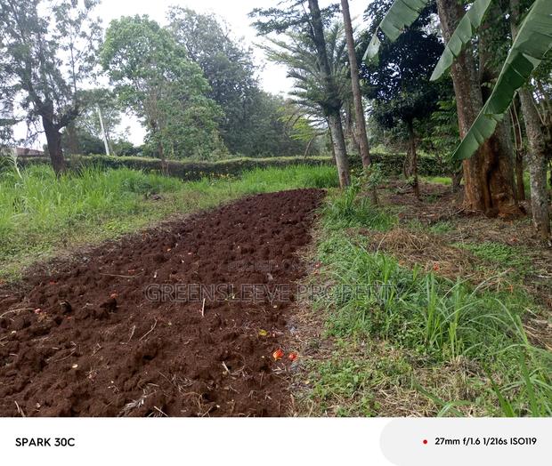 Land for Sale - thumbnail 3