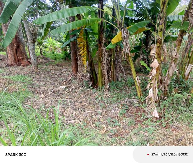 Land for Sale - thumbnail 4