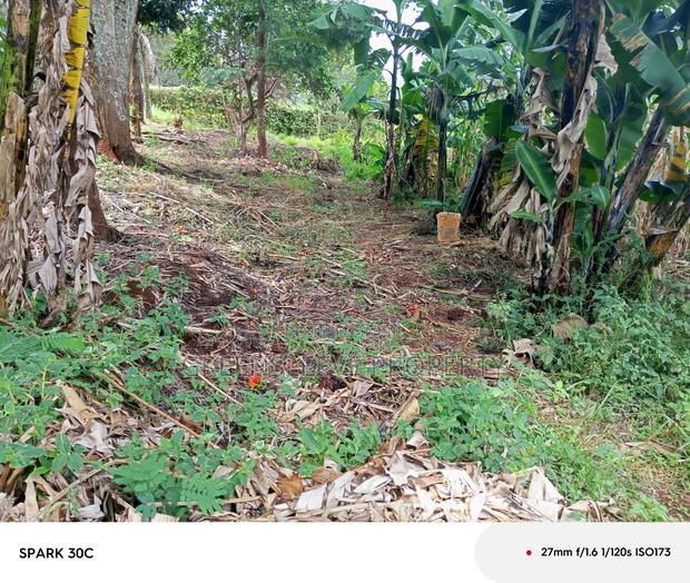 Land for Sale - thumbnail 7