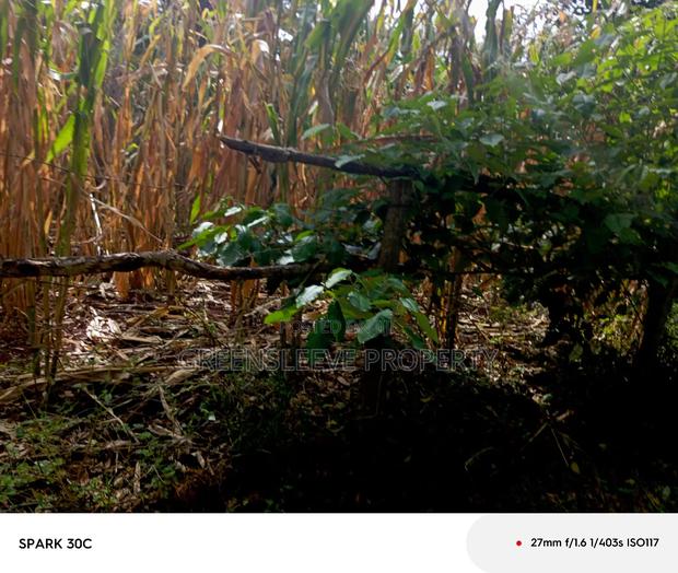 Land for Sale - thumbnail 8