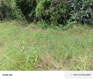 1 Acre for Sale