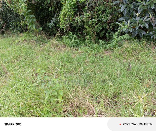 1 Acre for Sale - thumbnail 4