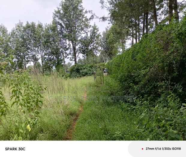 1 Acre for Sale - thumbnail 9