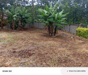 Half Acre for Sale - thumbnail 2