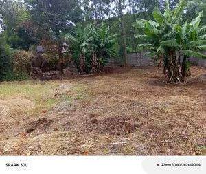 Half Acre for Sale