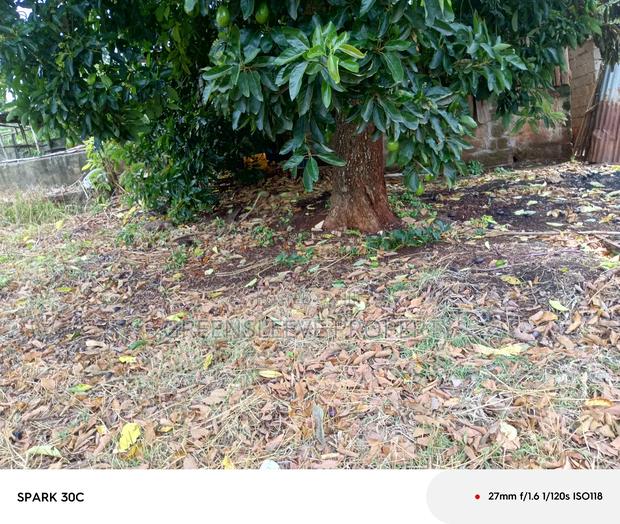 Half Acre for Sale - thumbnail 5