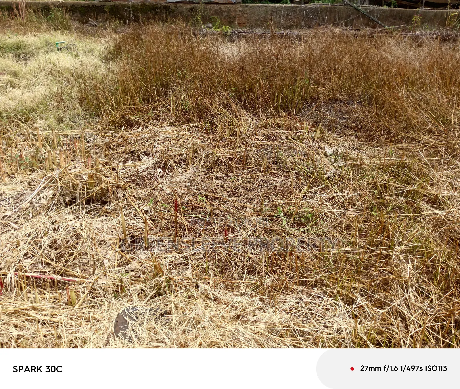 Half Acre for Sale