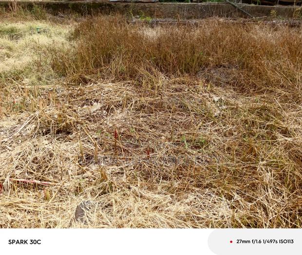 Half Acre for Sale - thumbnail 8