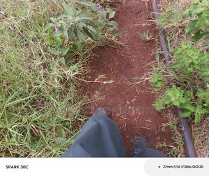 Land For Sale - thumbnail 2