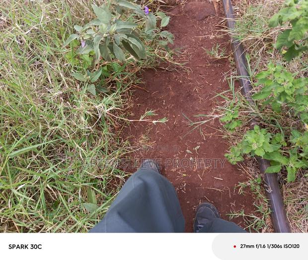 Land For Sale - main view