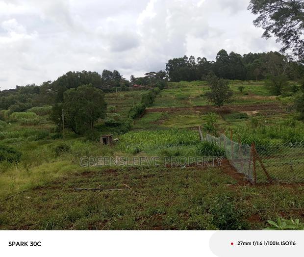 Land For Sale - thumbnail 3