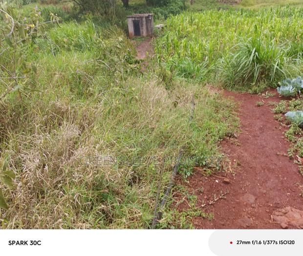 Land For Sale - thumbnail 4