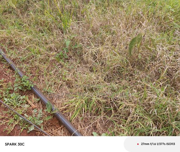 Land For Sale - thumbnail 6