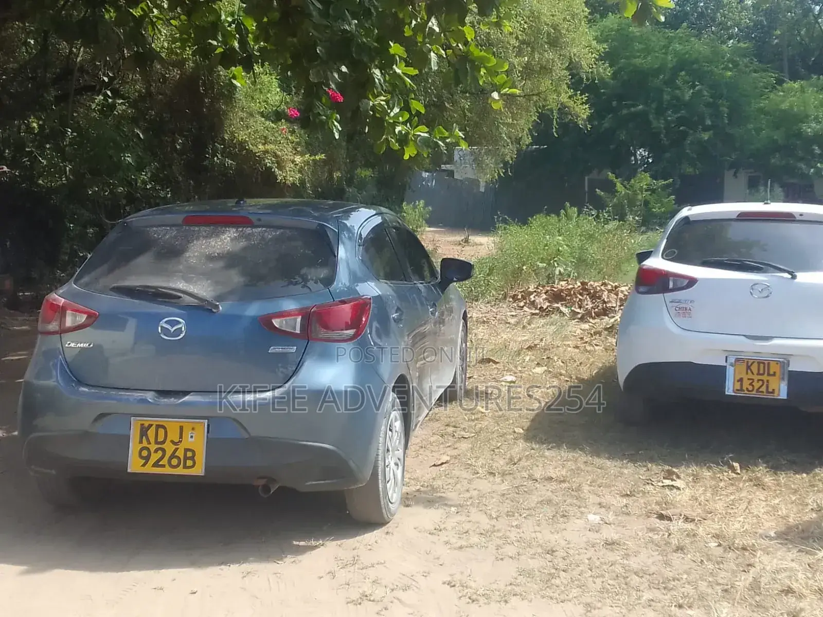 Self-Drive Cars for Rental,Coastal Tours and Transfers