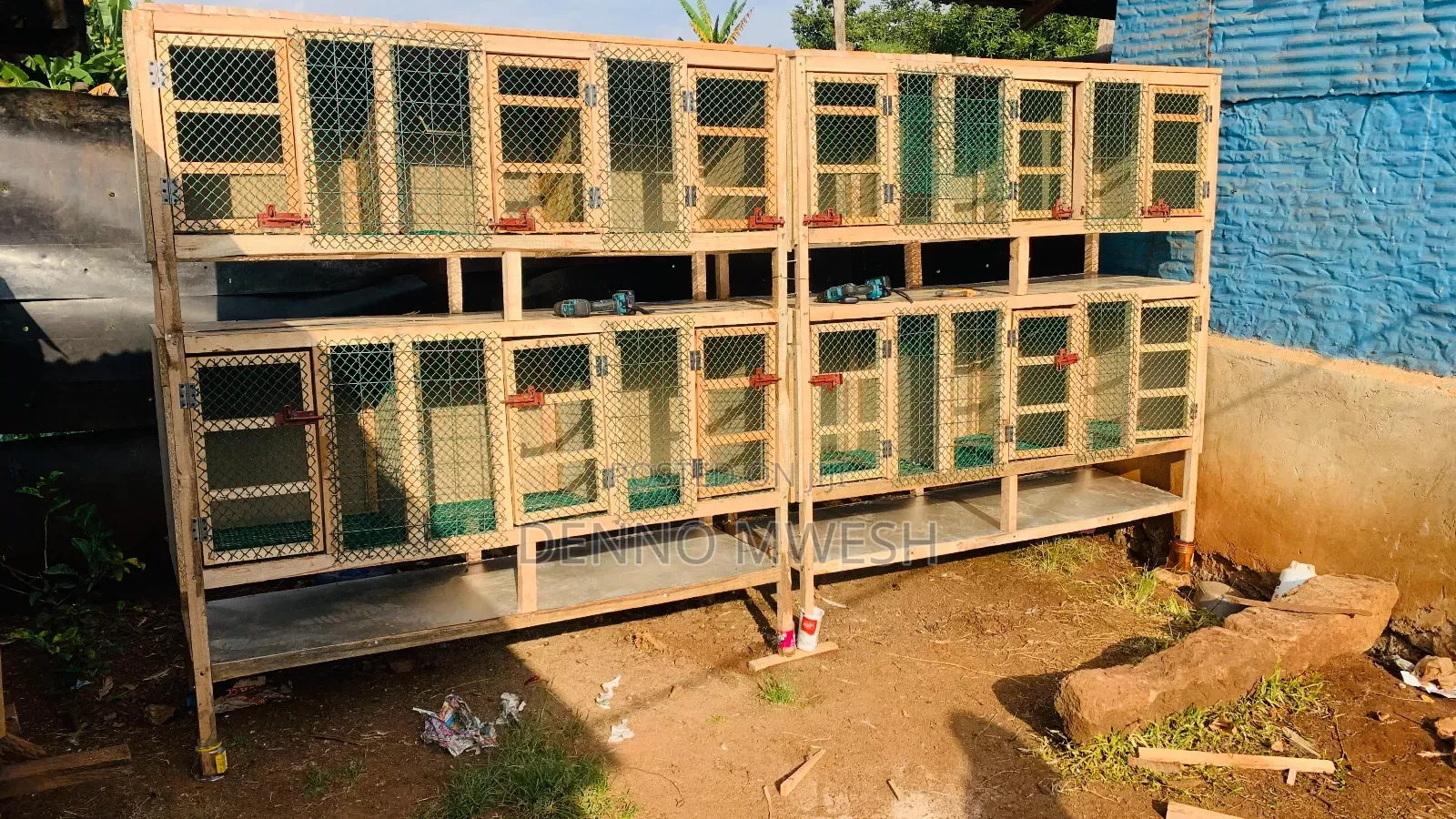 Pigeons / Pigeon Loft /Pigeon Automatic Drinkers/Laying Pots