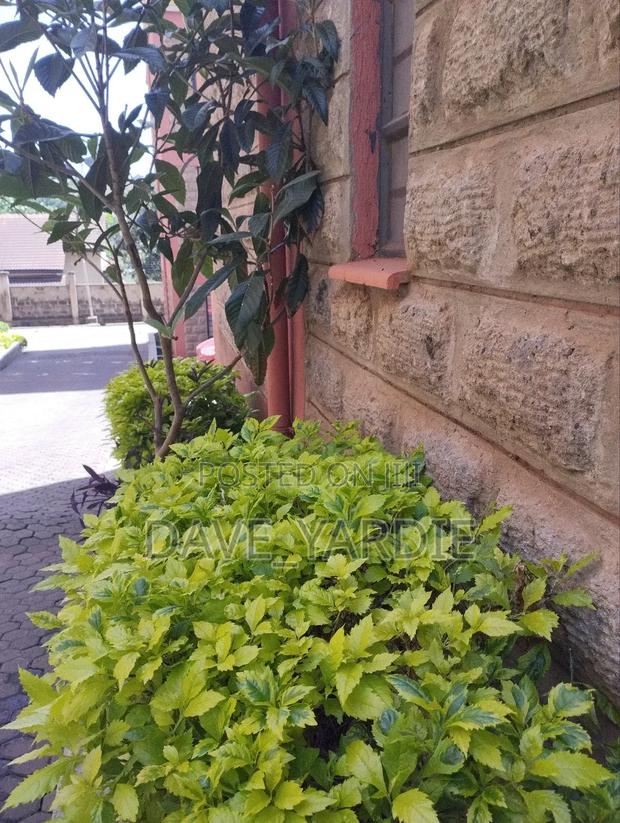 2bdrm Apartment in Lavington for sale - thumbnail 9