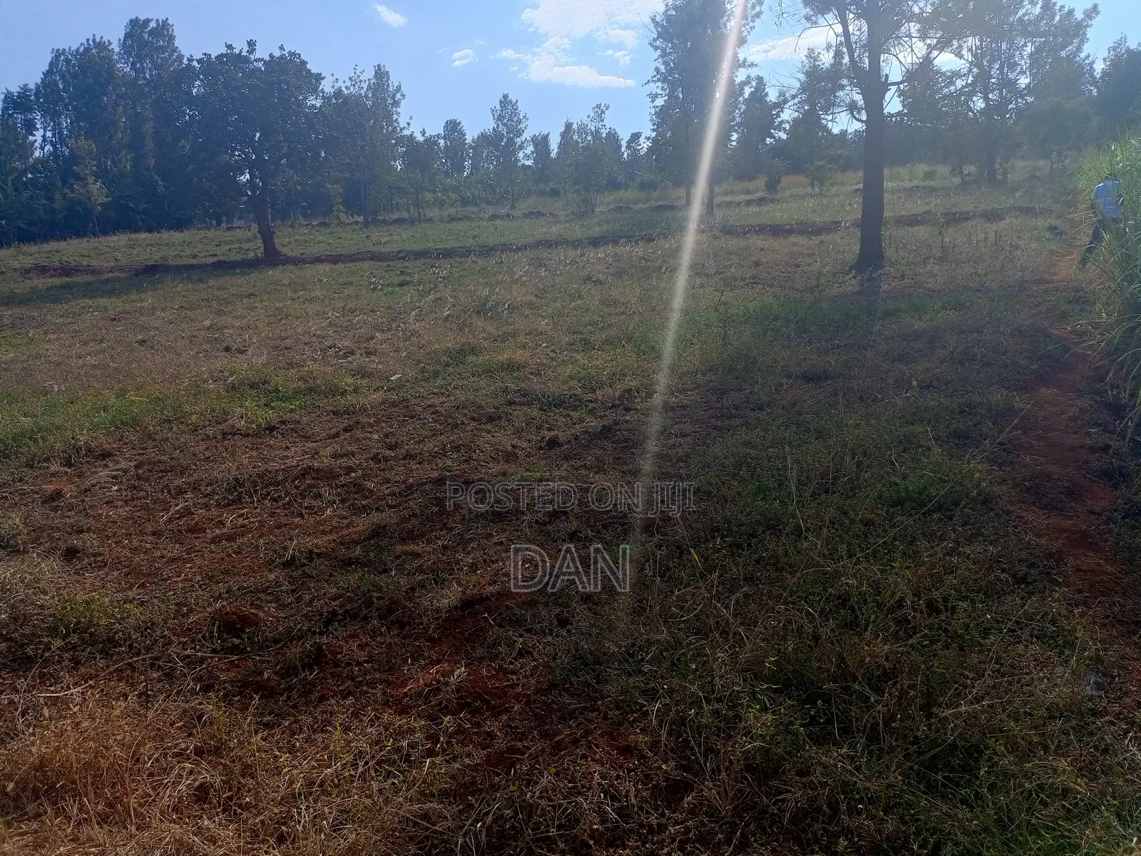 Two Acres With Titles