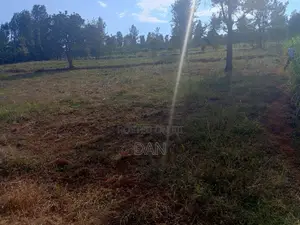 Two Acres With Titles