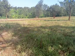 Two Acres With Titles