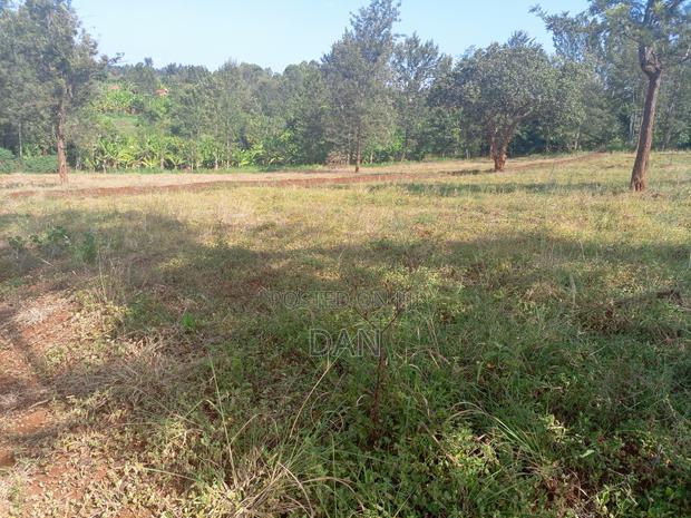 Two Acres With Titles - thumbnail 3