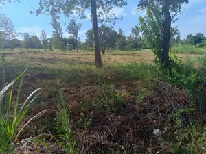 Two Acres With Titles