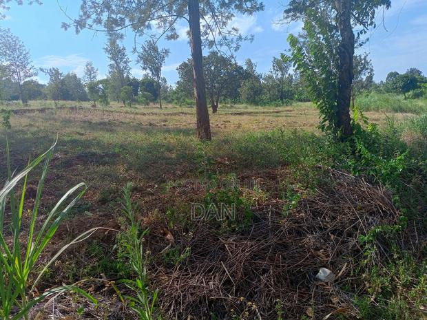 Two Acres With Titles - thumbnail 4