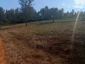 Two Acres With Titles