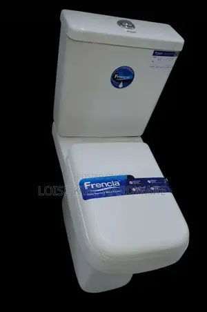 Toilet With a Good Flashing System Available