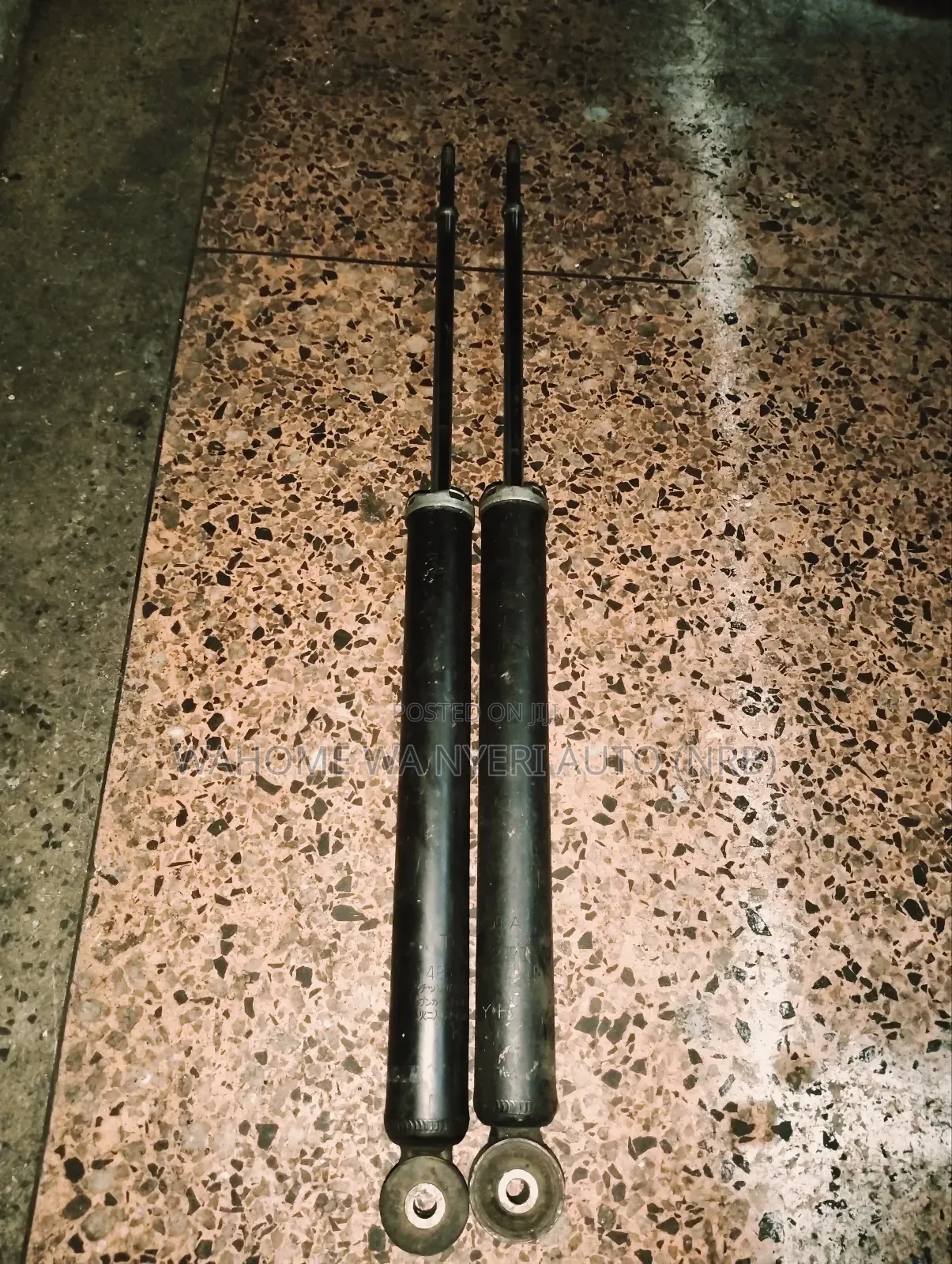 Rear Shocks Vitz