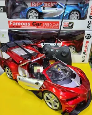 Remote Control Toy Car,Rechargeable Toy,Open Doors and Boots