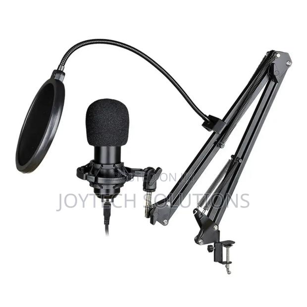 Professional High Quality Hot Selling Codenser Karaoke Mic
