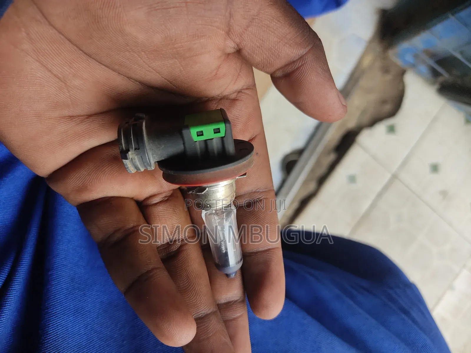 H11 Bulbs for Car Headlights and Foglights Available