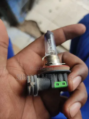 H11 Bulbs for Car Headlights and Foglights Available