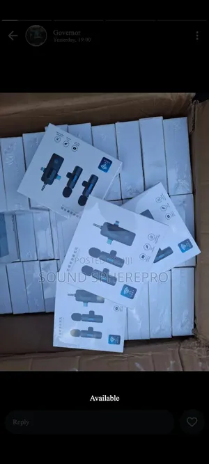 Double 3in1 Phone Microphone