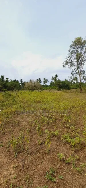 For Sale 2 Acres Land Msambweni