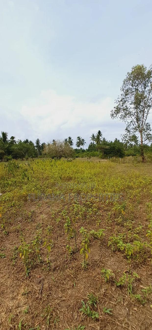 For Sale 2 Acres Land Msambweni - thumbnail 3