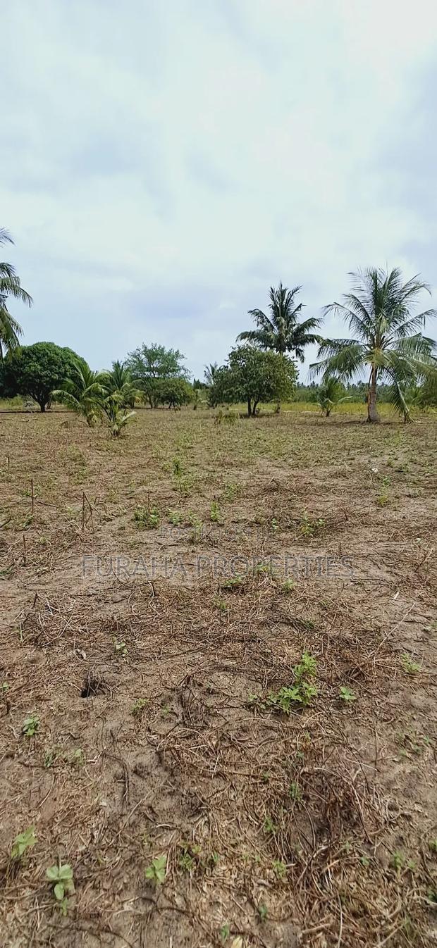 For Sale 2 Acres Land Msambweni - thumbnail 4