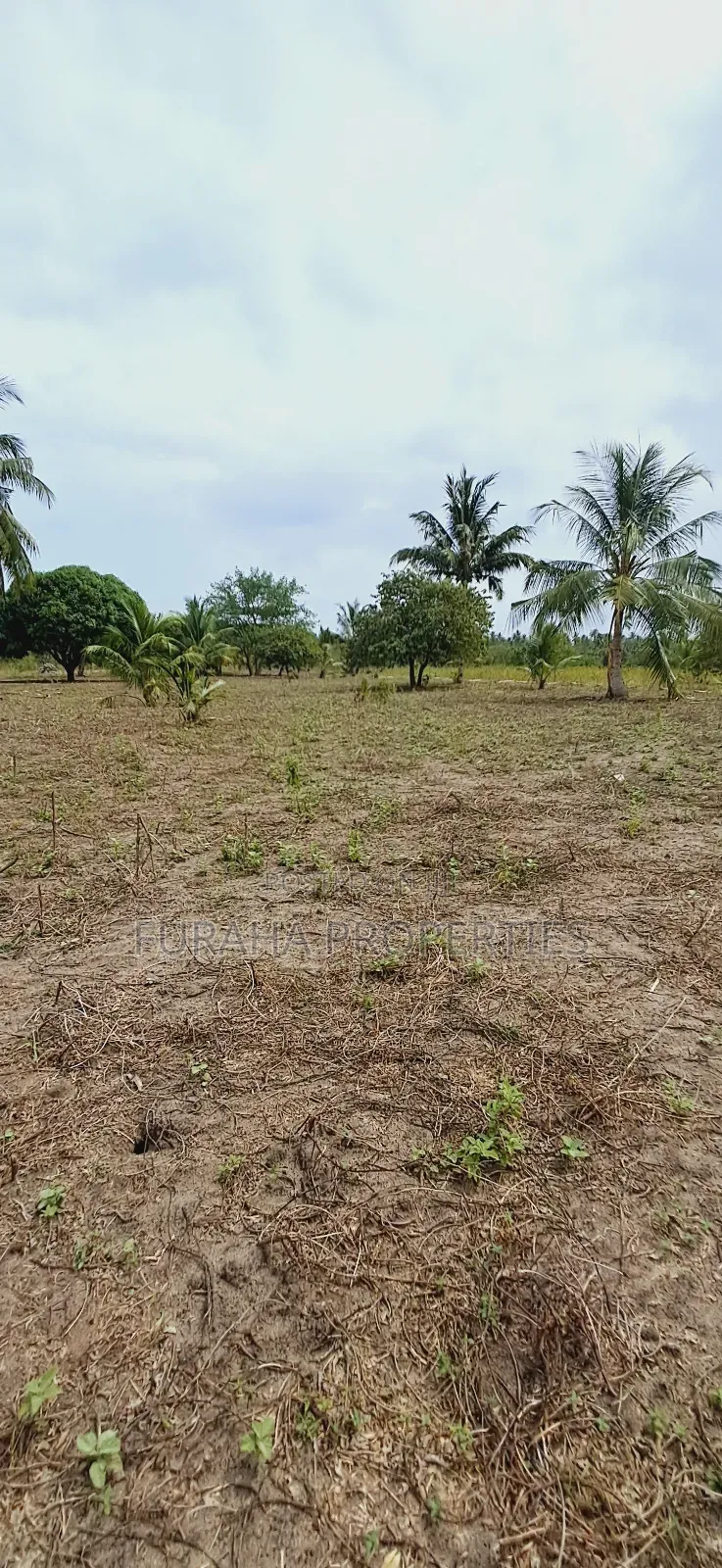 For Sale 2 Acres Land Msambweni