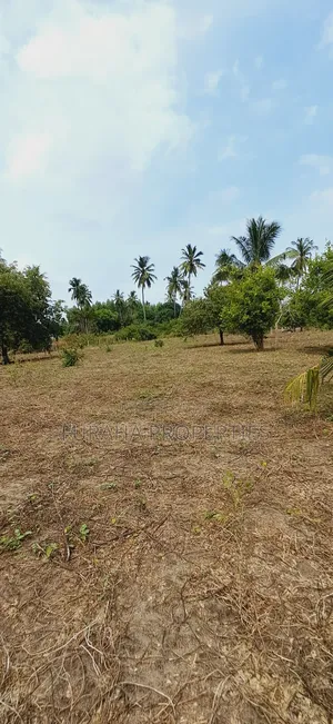 For Sale 2 Acres Land Msambweni