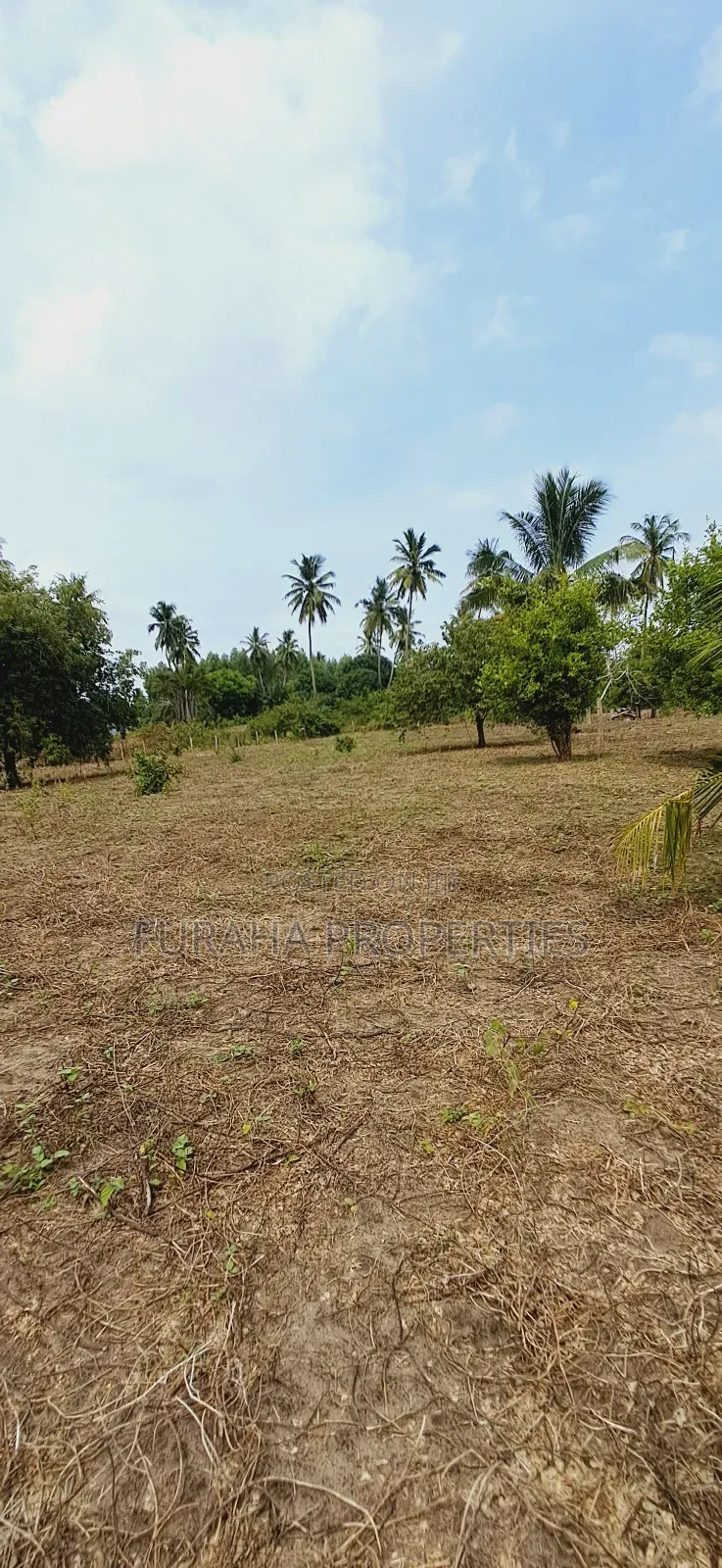 For Sale 2 Acres Land Msambweni