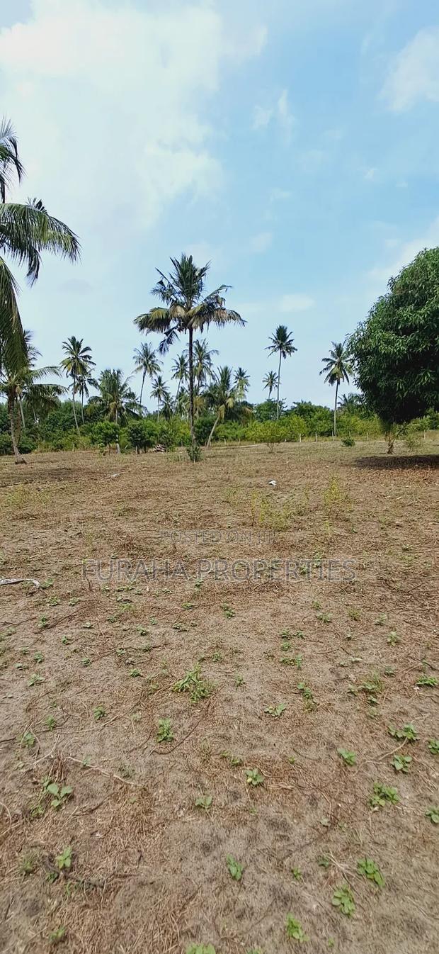 For Sale 2 Acres Land Msambweni - thumbnail 6